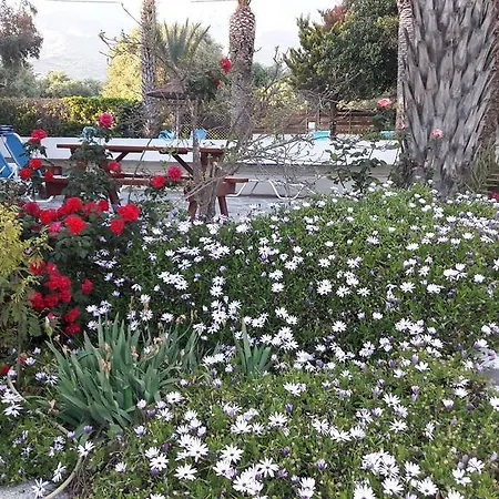 Oasis & Aparthotel